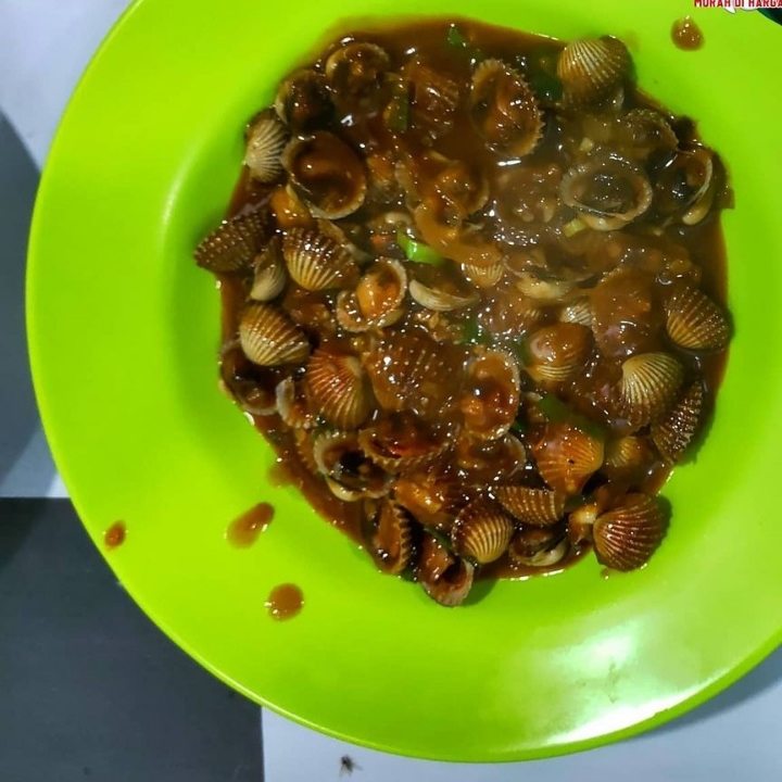 Kerang Dara