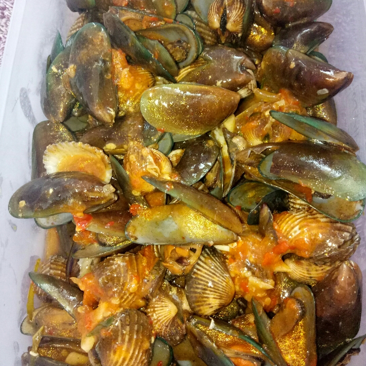 Kerang Dara Mix Kerang Hijau