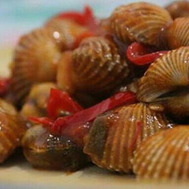 Kerang Dara Original