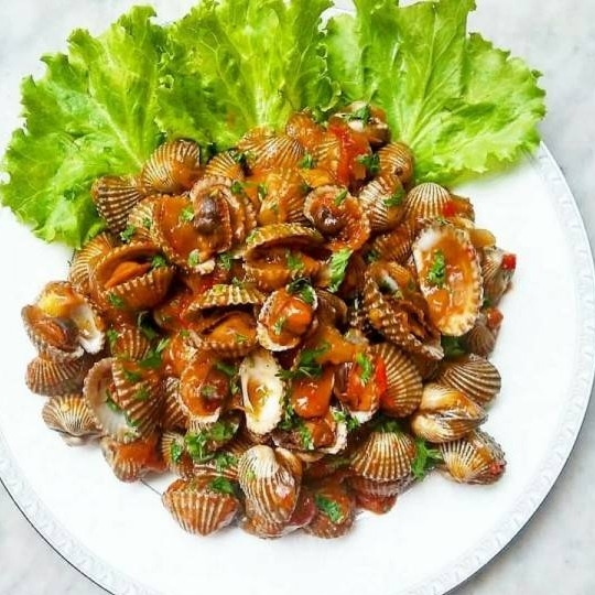 Kerang Dara Saos