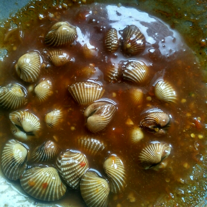 Kerang Dara Saos Tiram