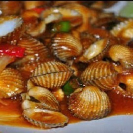 Kerang Dara Saus Tiram