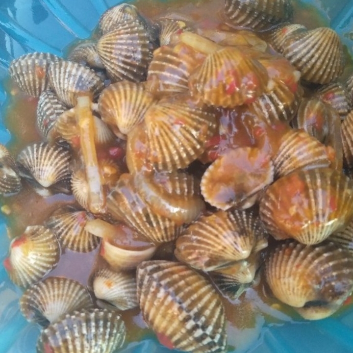 Kerang Dara Saus kedai Kita