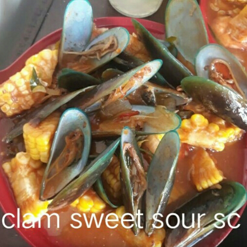 Kerang Hijau 