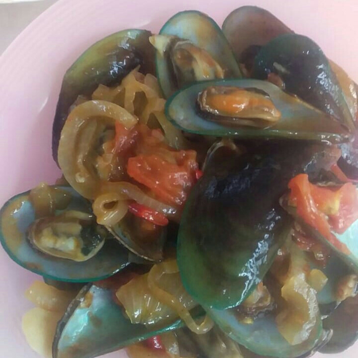 Kerang Hijau