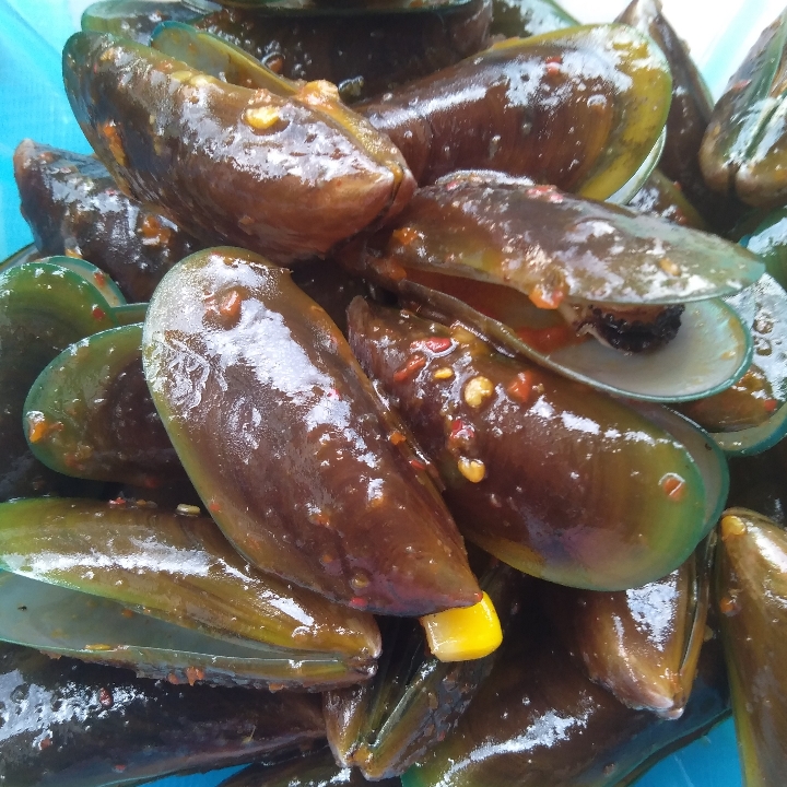 Kerang Hijau