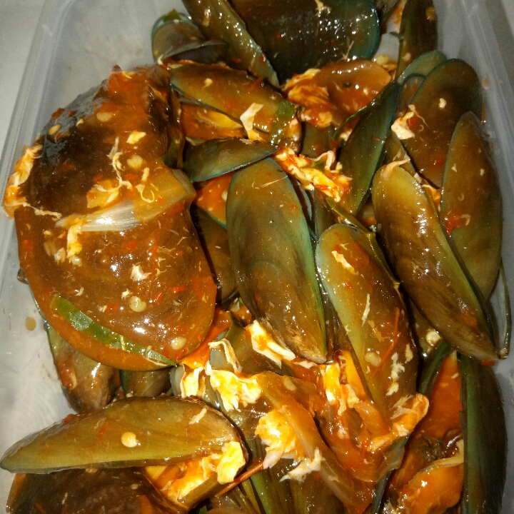 Kerang Hijau