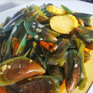 Kerang Hijau