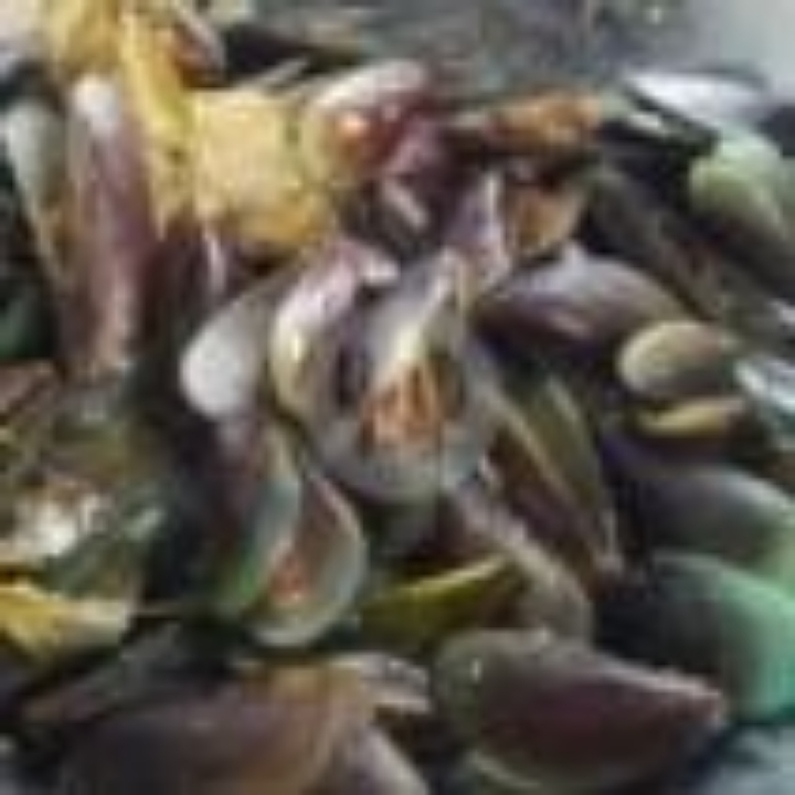 Kerang Hijau Kuah Bening Asam Pedas