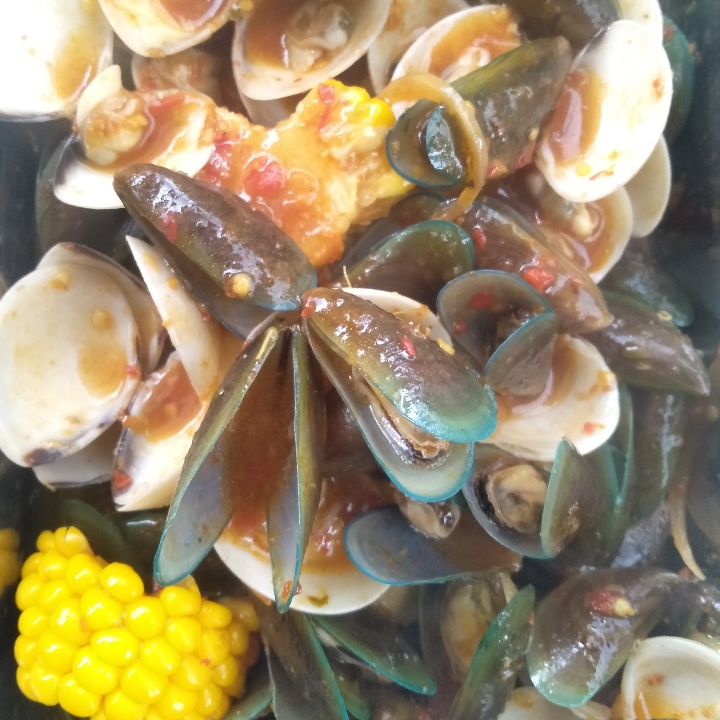 Kerang Mix B