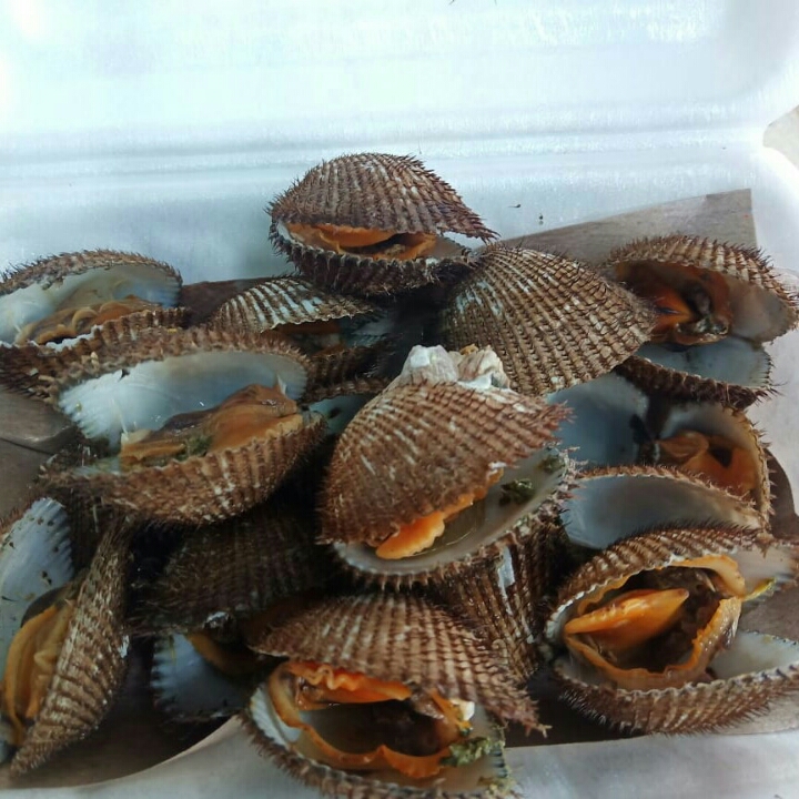 Kerang Rebus