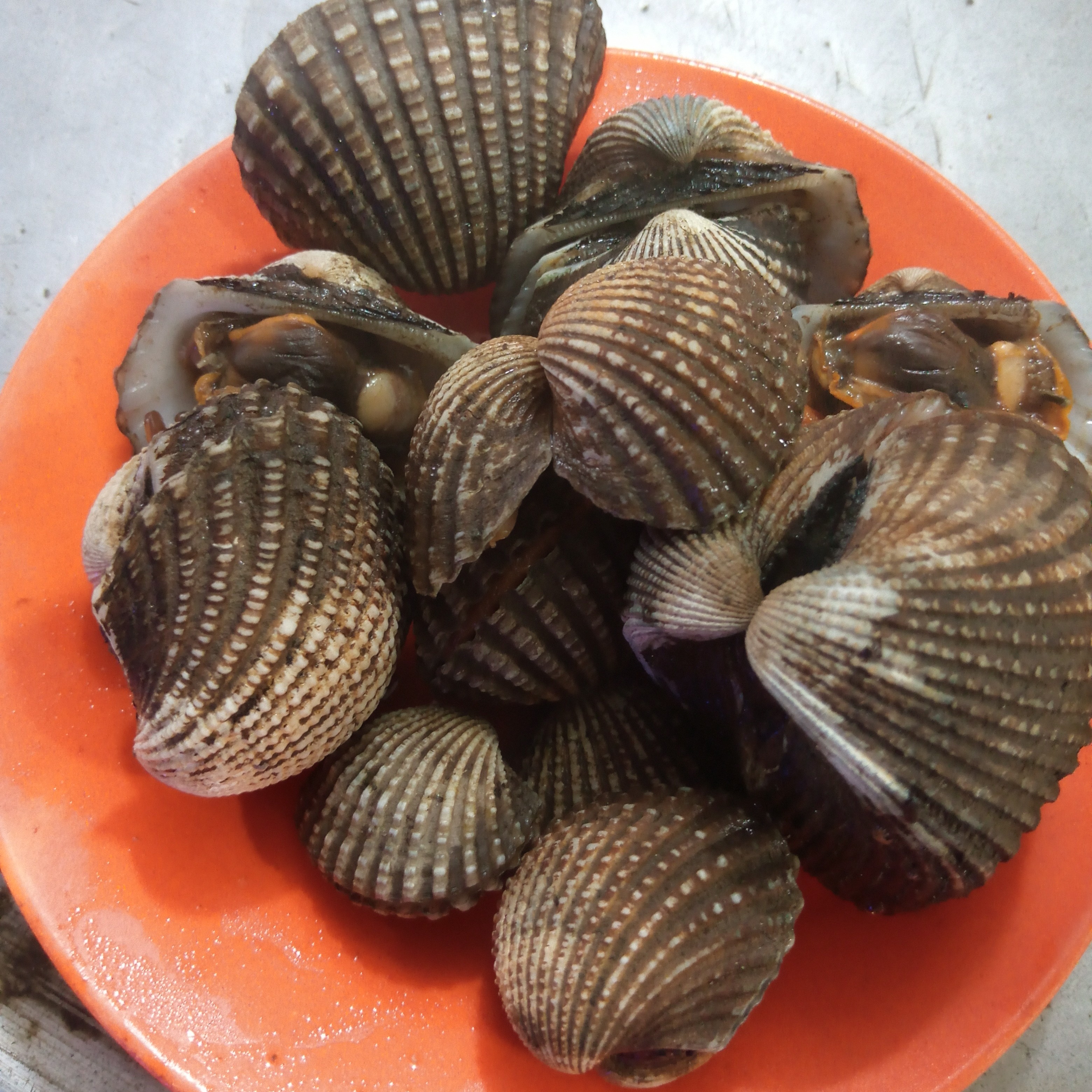 Kerang Rebus