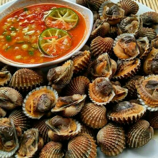 Kerang Rebus