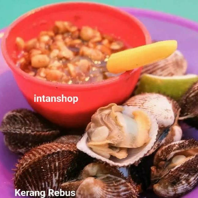 Kerang Rebus