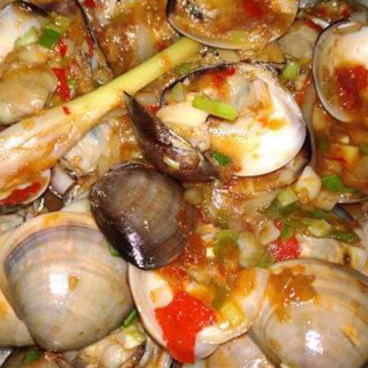 Kerang TahuKerang Kupah