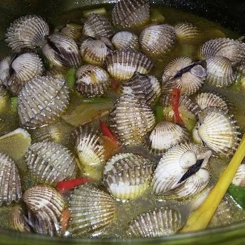 Kerang Tumis