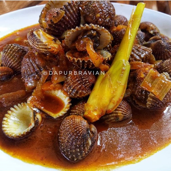 Kerang dara