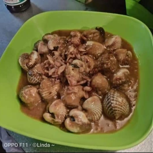 Kerang dara glabed