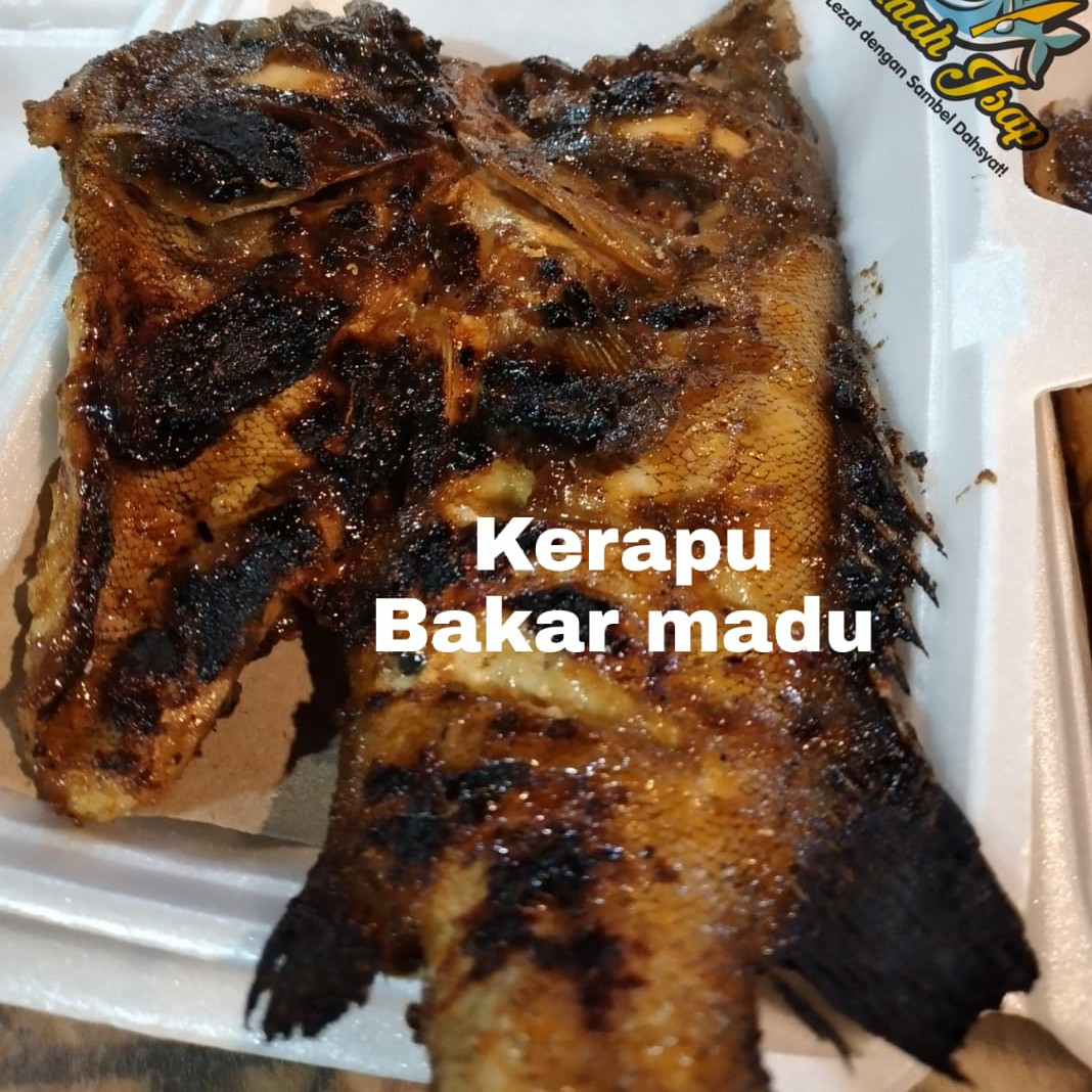 Kerapu Bakar Madu