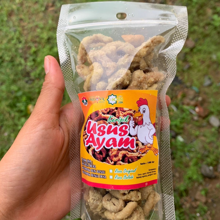 Keripik Usus