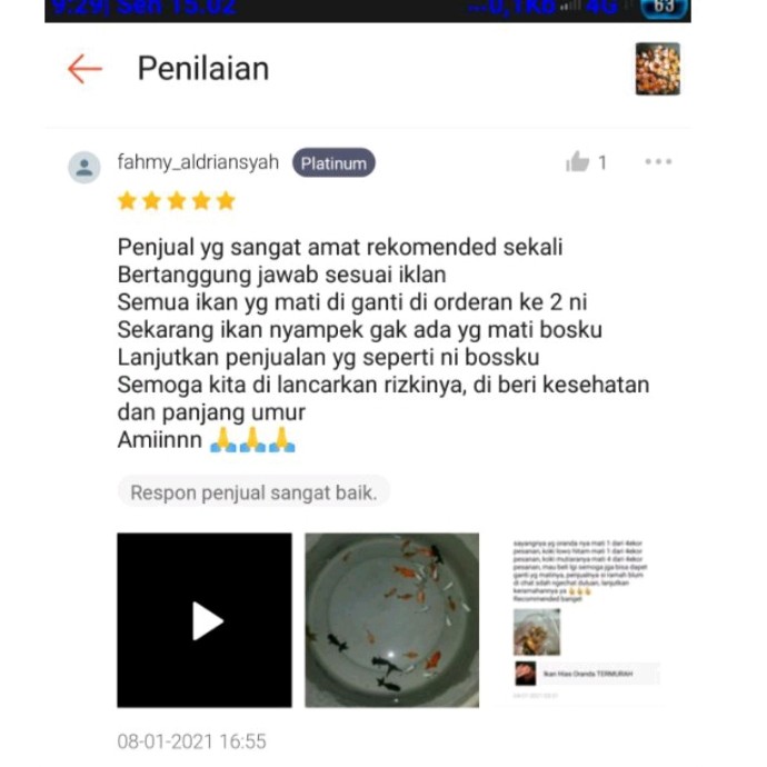 Koki mutiara tikus 3