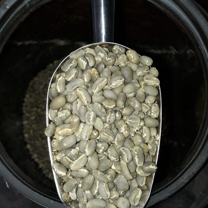 Kopi Arabica Gayo 2