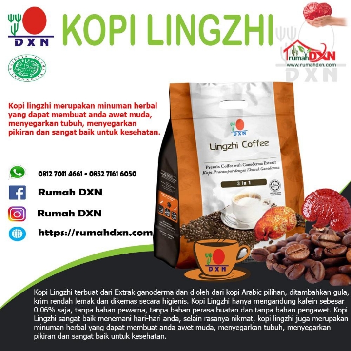 Kopi Lingzhi DXN