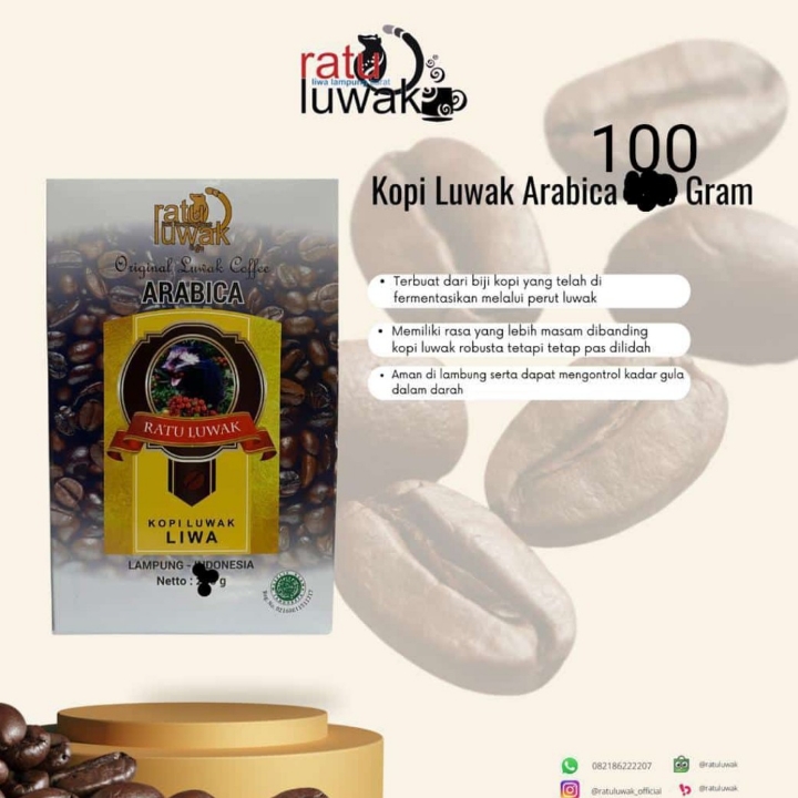 Kopi Luwak Arabika 