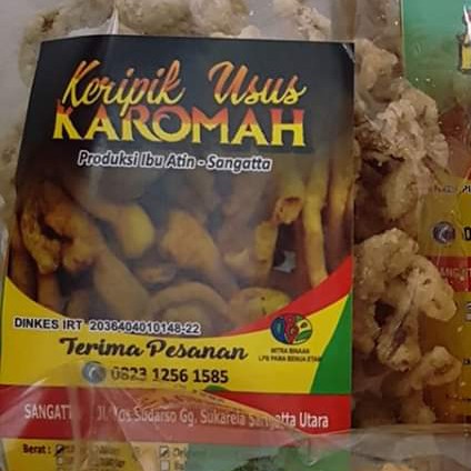 Kripik Usus