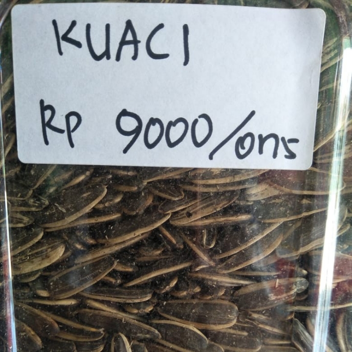 Kuaci