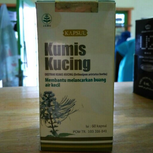 Kumis Kucing Tazakka