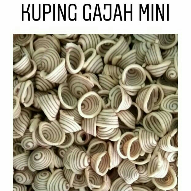 Kuping Gajah Mini