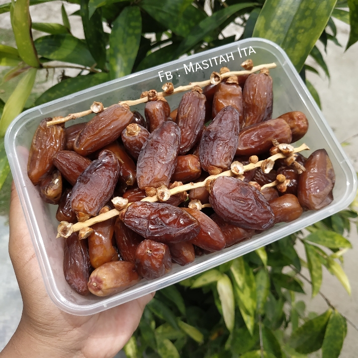 Kurma Tunisia Tangkai