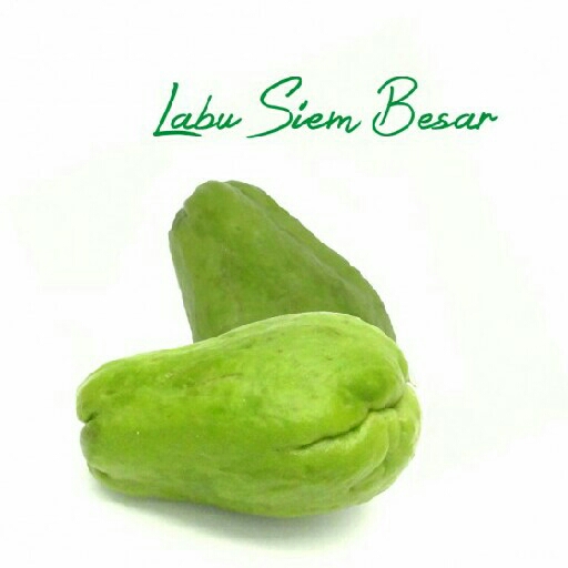 Labu Siam Besar 250gram