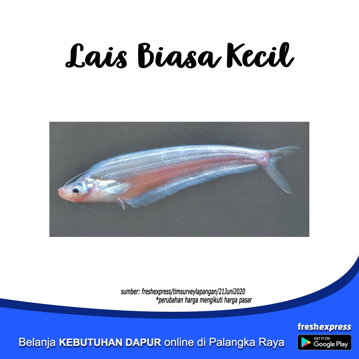 Lais Biasa Kecil 1 Kg