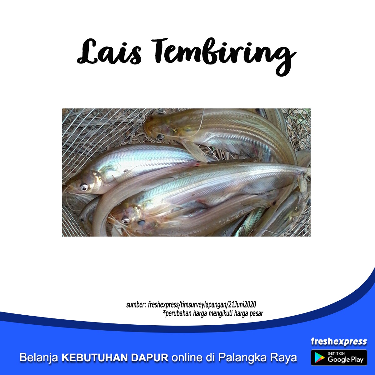 Lais Tembiring 1 Kg