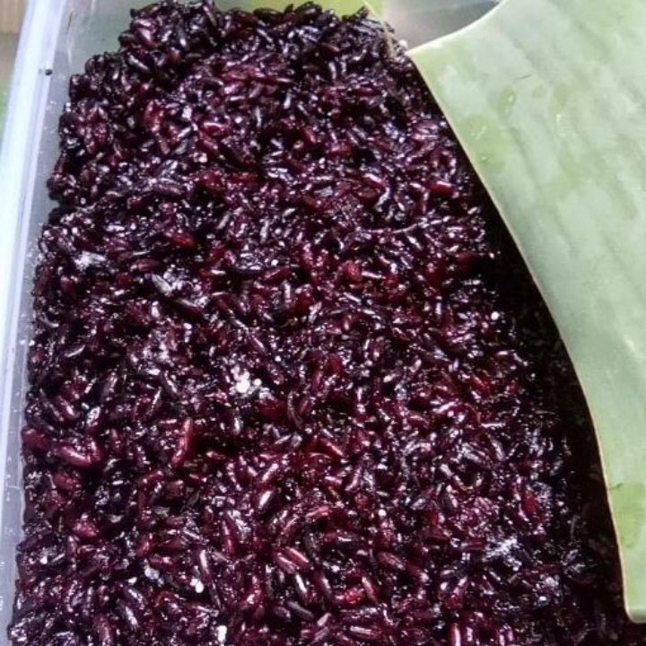 Lamang Tapai 