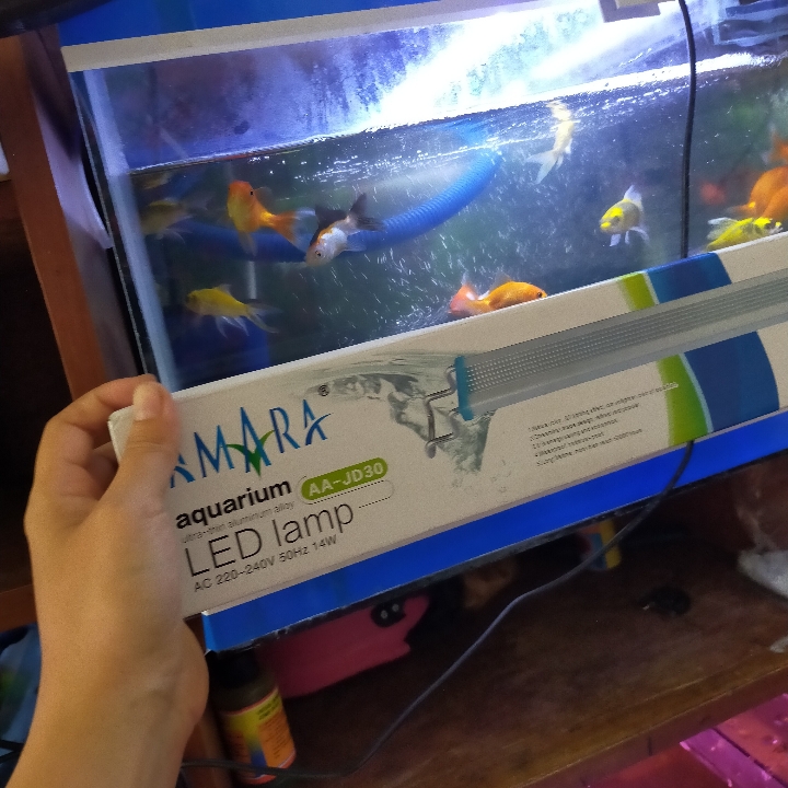 Lampu Aquarium