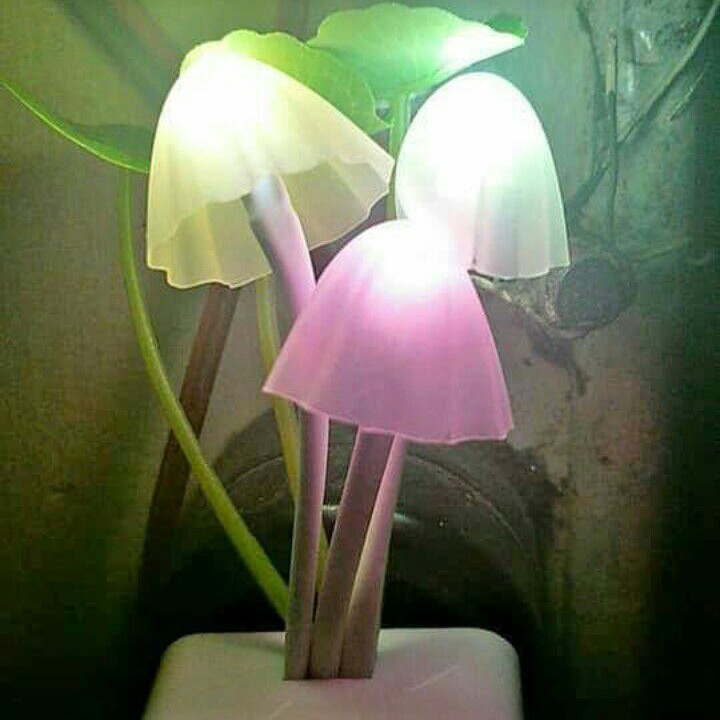 Lampu Jamur 2