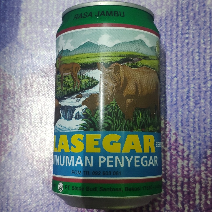 Lasegar Kaleng