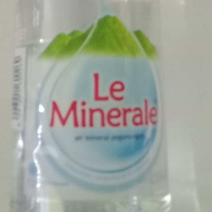 Le Mineral 