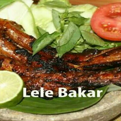 Lele Bakar