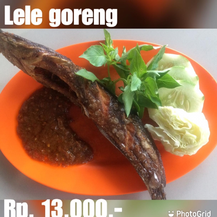 Lele Goreng