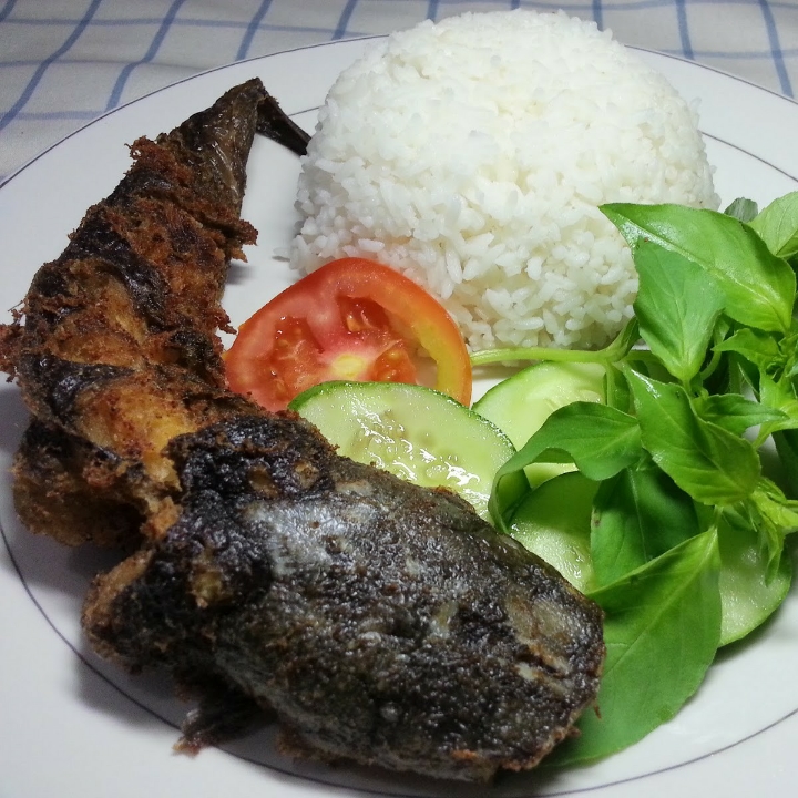 Lele Goreng Plus Nasi