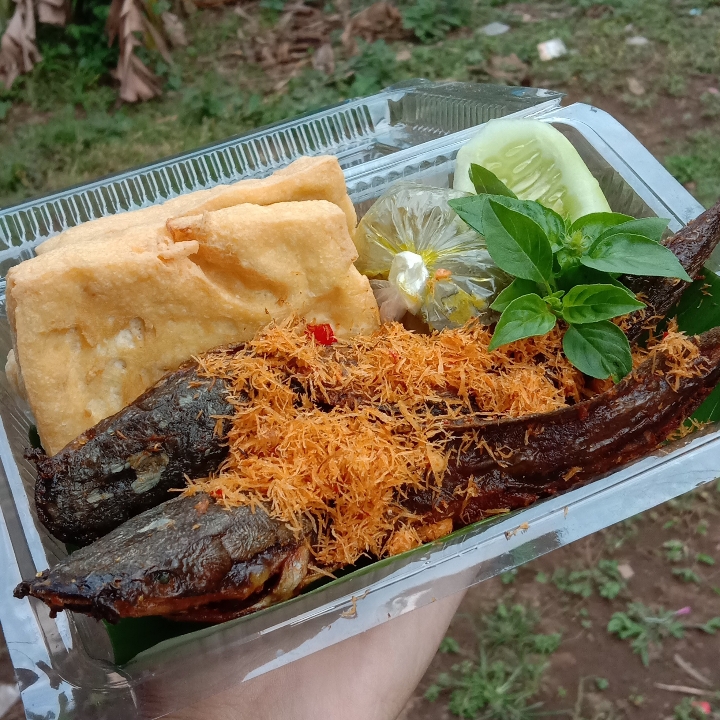 Lele Goreng Serundeng