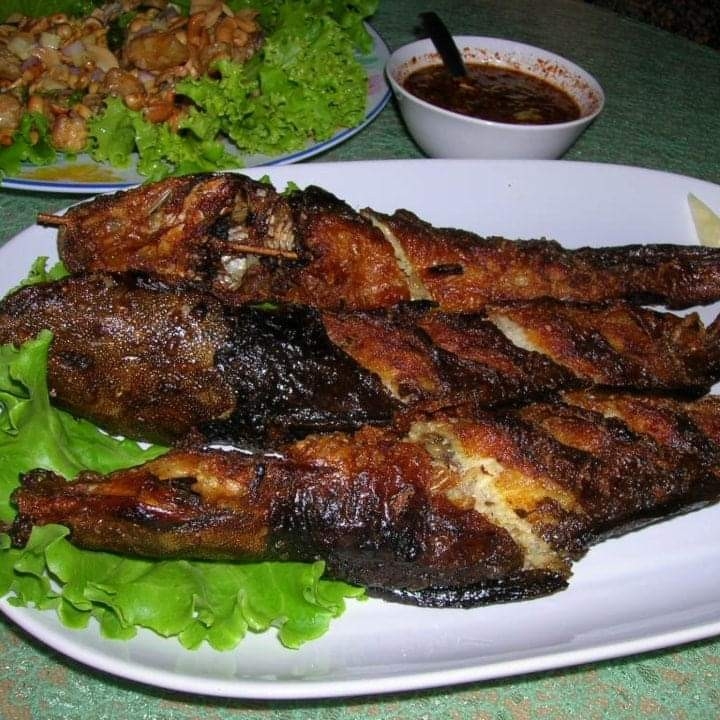 Lele Goreng Tanpa Nasi