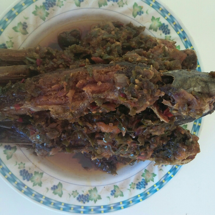 Lele Sambal Ijo