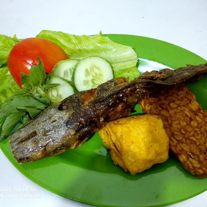 Lele Tanpa Nasi