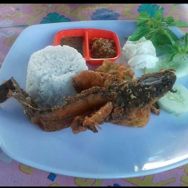 Lele Terbang  Nasi