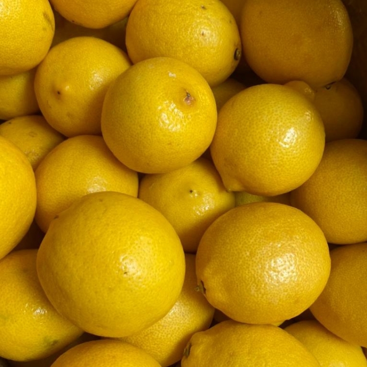 Lemon